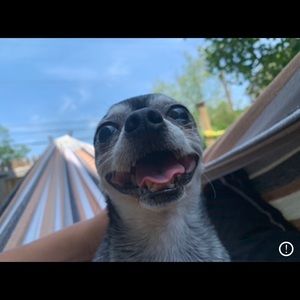 Meet your Posher, Jason